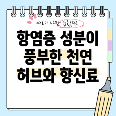 항염증 성분이 풍부한 천연 허브와 향신료