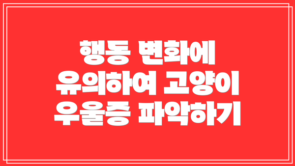 행동 변화에 유의하여 고양이 우울증 파악하기