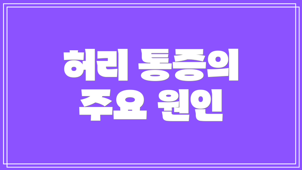 허리 통증의 주요 원인