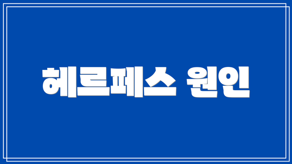 헤르페스 원인
