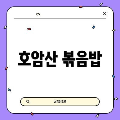 호암산 볶음밥