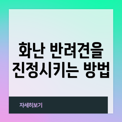 화난 반려견을 진정시키는 방법