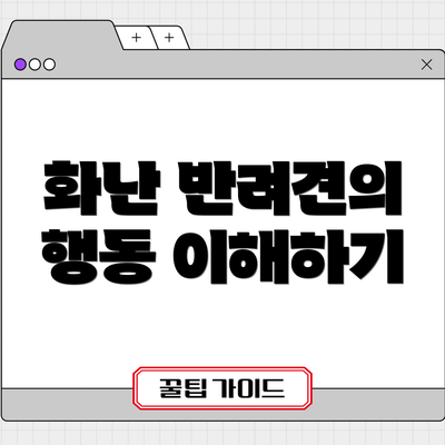 화난 반려견의 행동 이해하기
