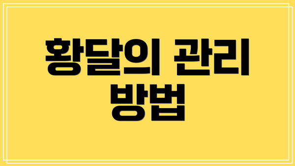 황달의 관리 방법