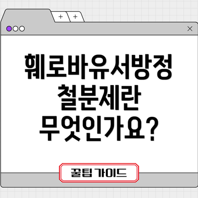 훼로바유서방정 철분제란 무엇인가요?