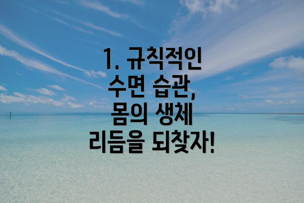 1. 규칙적인 수면 습관, 몸의 생체 리듬을 되찾자!