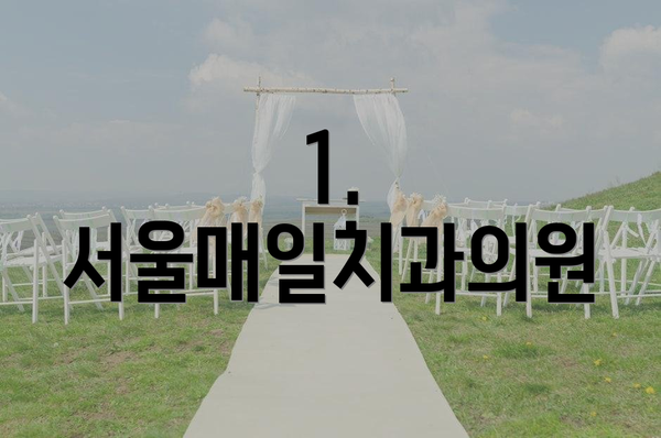 1. 서울매일치과의원