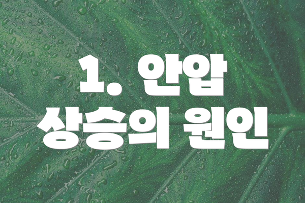 1. 안압 상승의 원인