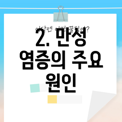 2. 만성 염증의 주요 원인