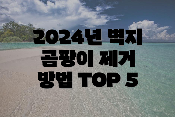 2024년 벽지 곰팡이 제거 방법 TOP 5