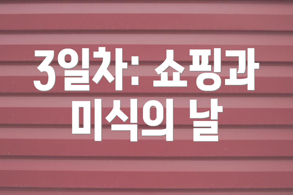 3일차: 쇼핑과 미식의 날