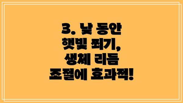 3. 낮 동안 햇빛 쬐기, 생체 리듬 조절에 효과적!