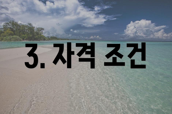 3. 자격 조건