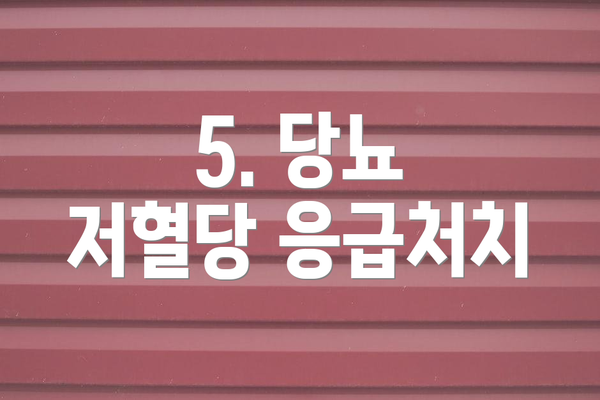 5. 당뇨 저혈당 응급처치