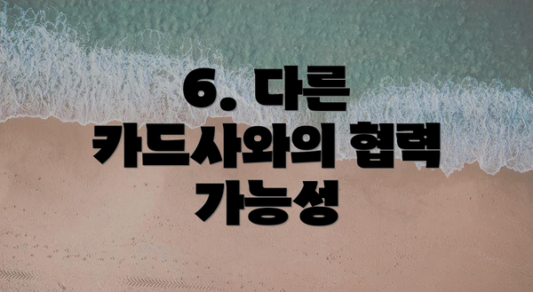 6. 다른 카드사와의 협력 가능성