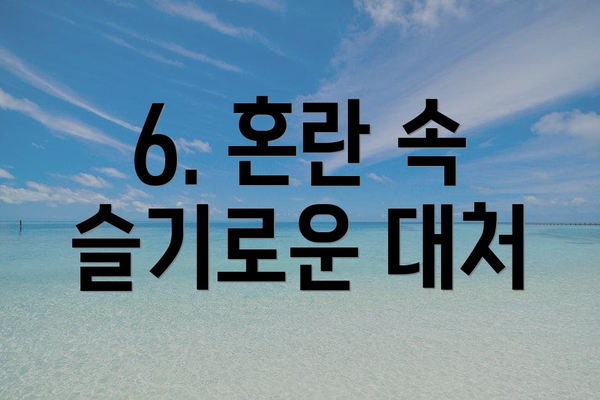6. 혼란 속 슬기로운 대처