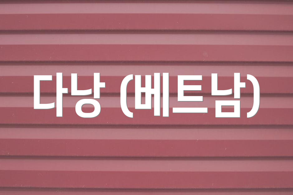 다낭 (베트남)