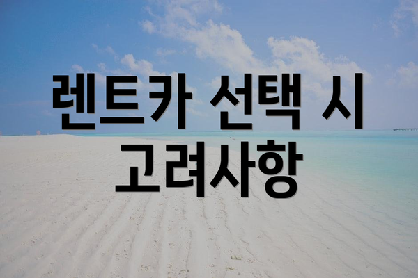 렌트카 선택 시 고려사항