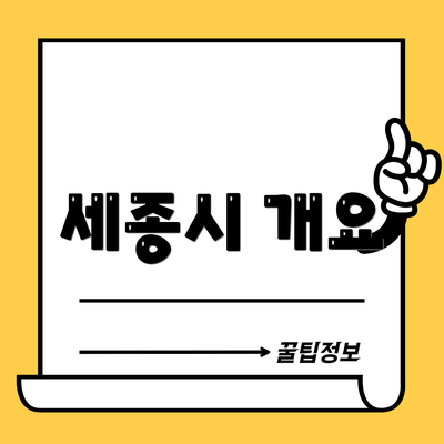 세종시 개요