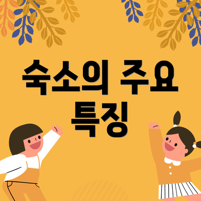 숙소의 주요 특징