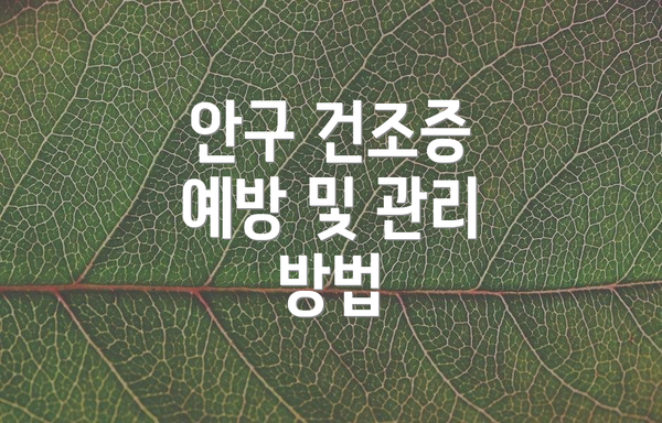 안구 건조증 예방 및 관리 방법