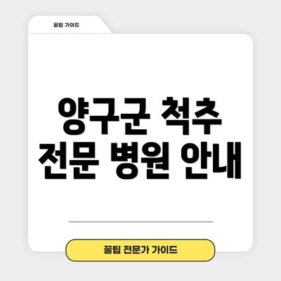 양구군 척추 전문 병원 안내