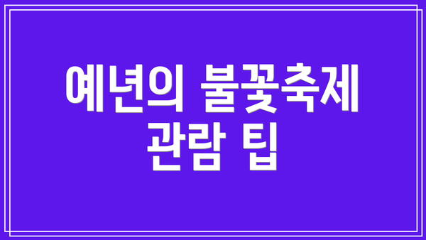 예년의 불꽃축제 관람 팁