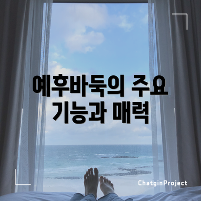 예후바둑의 주요 기능과 매력