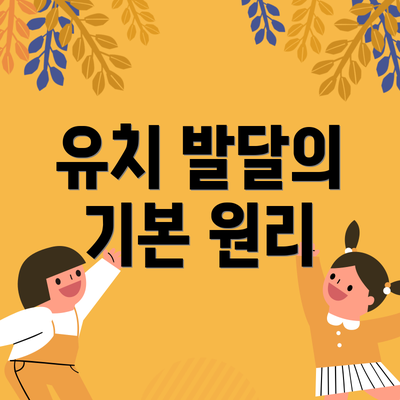 유치 발달의 기본 원리