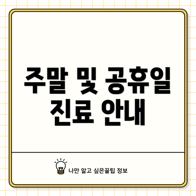 주말 및 공휴일 진료 안내