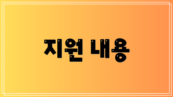 지원 내용