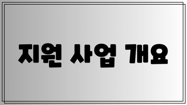 지원 사업 개요