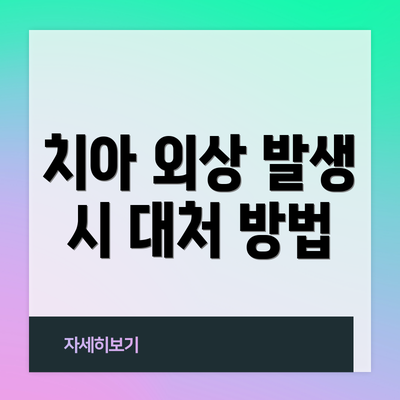 치아 외상 발생 시 대처 방법