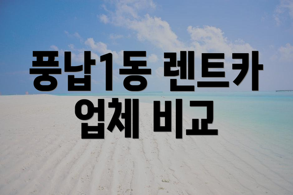 풍납1동 렌트카 업체 비교