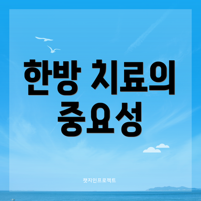 한방 치료의 중요성