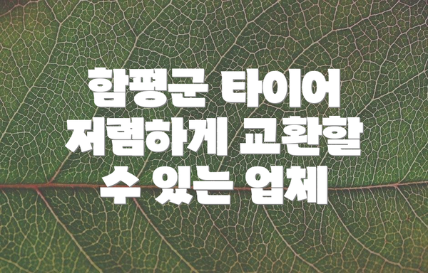 함평군 타이어 저렴하게 교환할 수 있는 업체