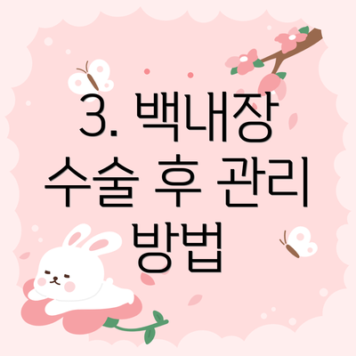 3. 백내장 수술 후 관리 방법