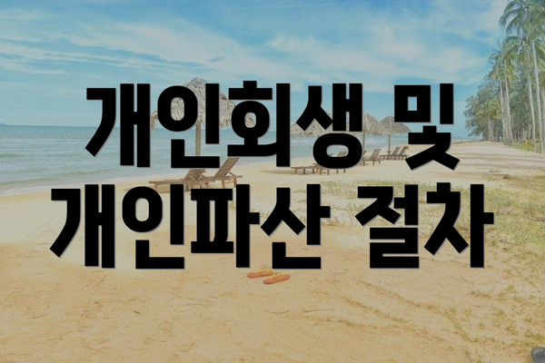 개인회생 및 개인파산 절차