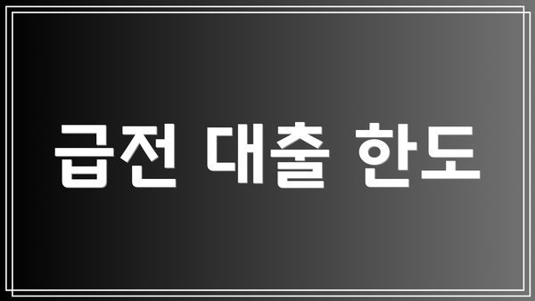 급전 대출 한도