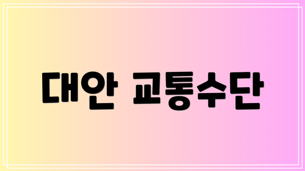 대안 교통수단