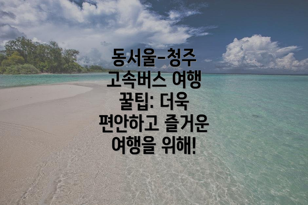 동서울-청주 고속버스 여행 꿀팁: 더욱 편안하고 즐거운 여행을 위해!