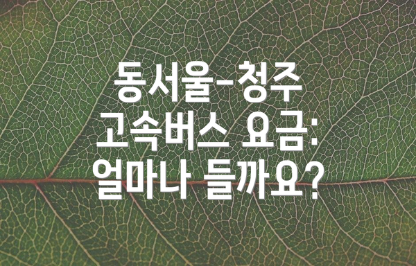 동서울-청주 고속버스 요금: 얼마나 들까요?