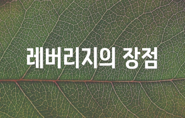 레버리지의 장점