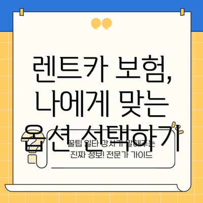 렌트카 보험, 나에게 맞는 옵션 선택하기