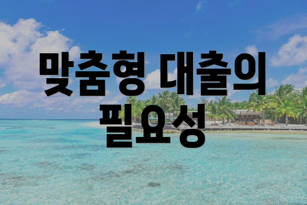 맞춤형 대출의 필요성