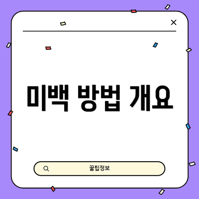 미백 방법 개요