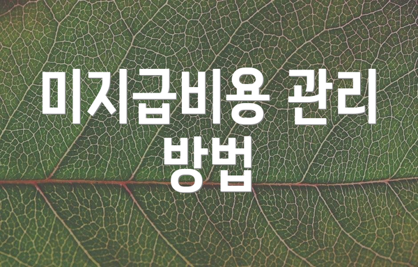 미지급비용 관리 방법