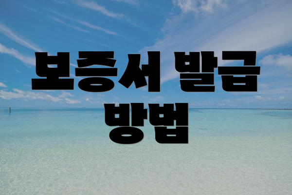 보증서 발급 방법
