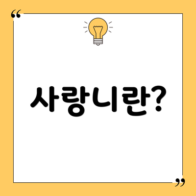 사랑니란?