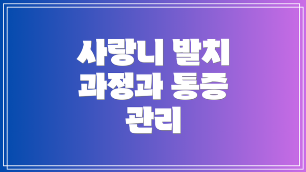 사랑니 발치 과정과 통증 관리